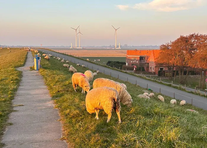 Butjahuus - Kueste33 4